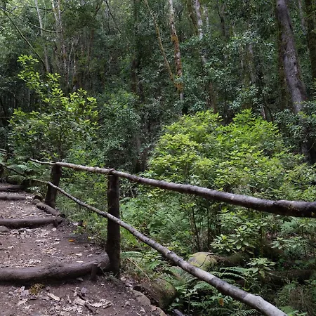 Rincon Del Mercado Appartamento